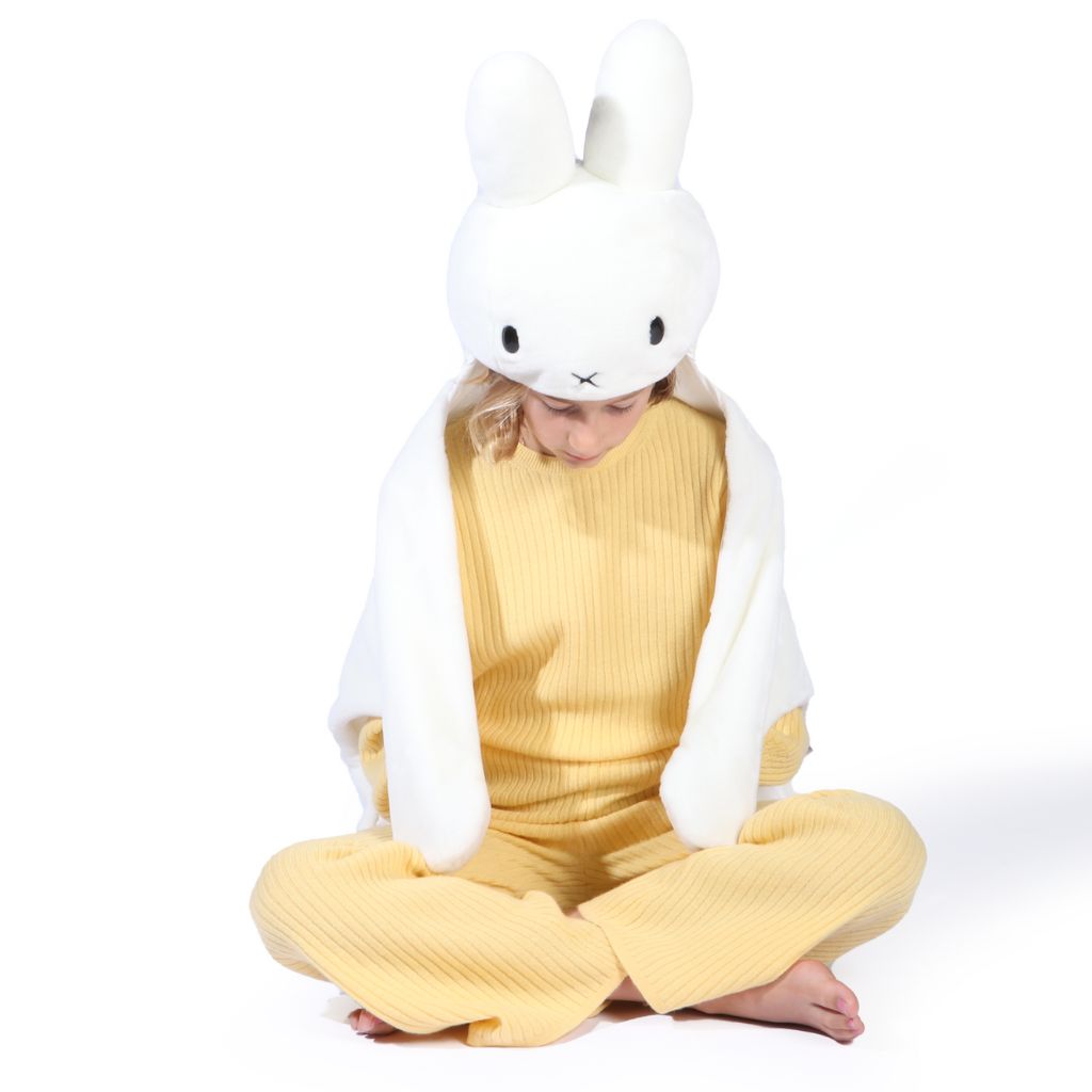 Miffy's Playful Disguise for kids